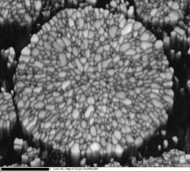 Band contrast image of NCM811 particle cross section showing its internal structure with EBSD.